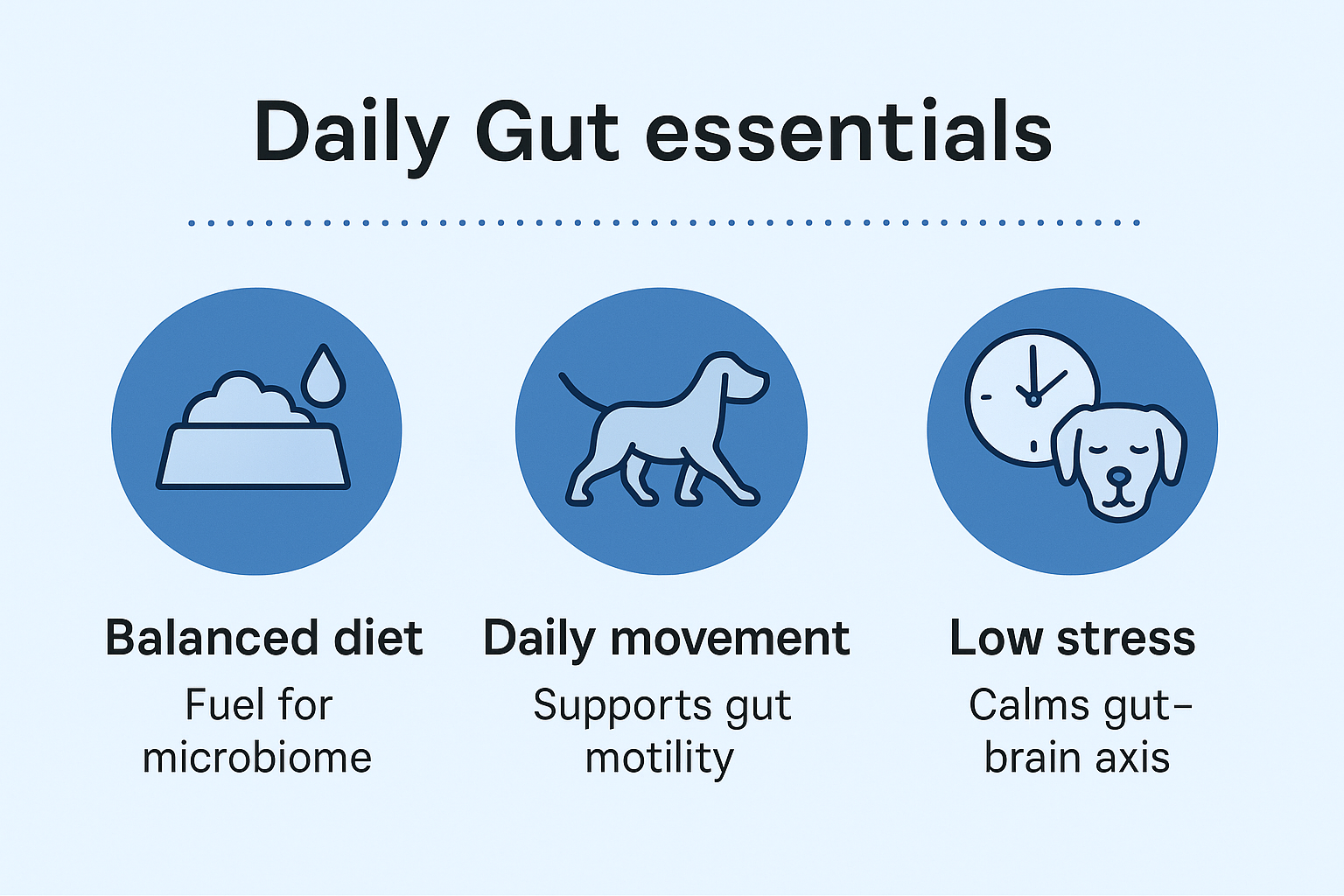 Dogs Gut Health