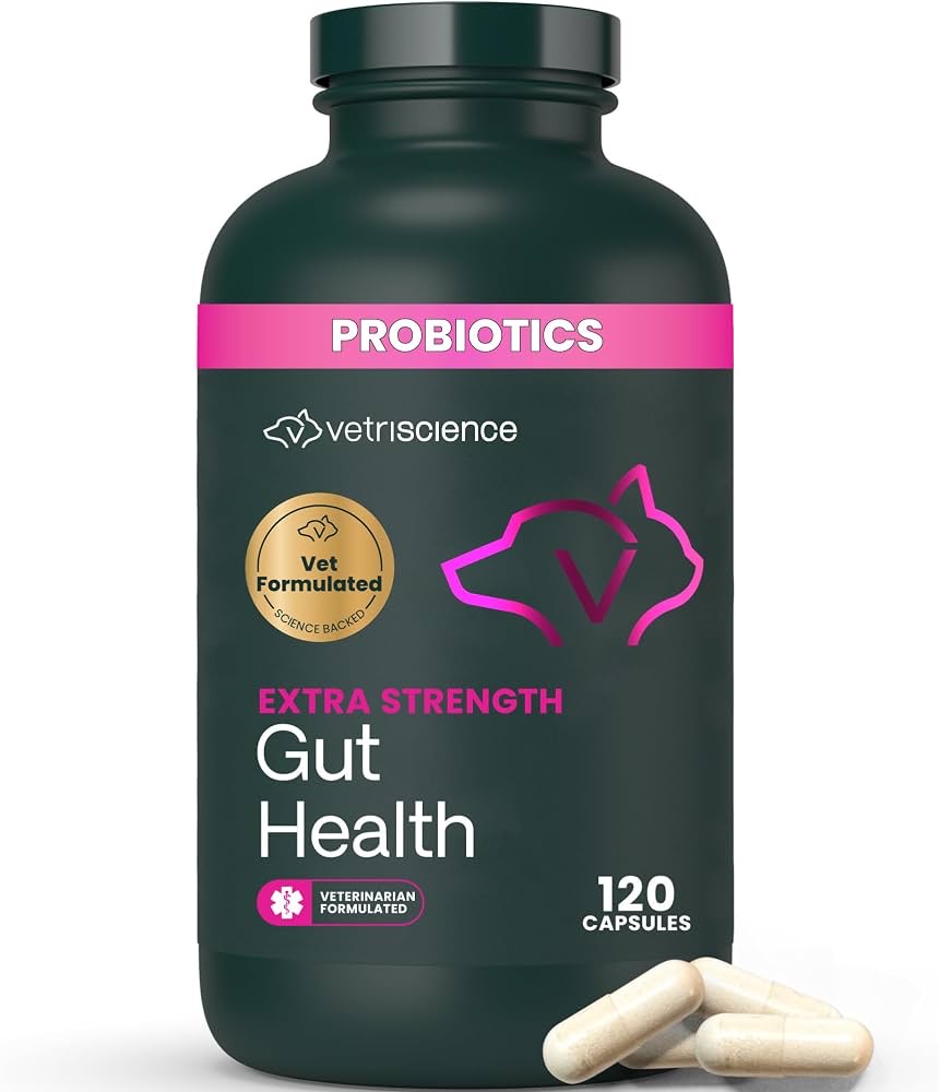 Dog probiotic supplement capsules used in shelf-life testing