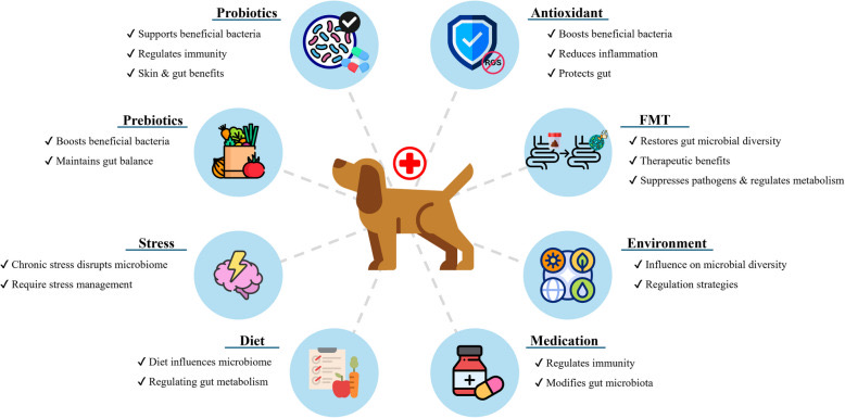 Infographic of factors that shape the dog gut microbiome