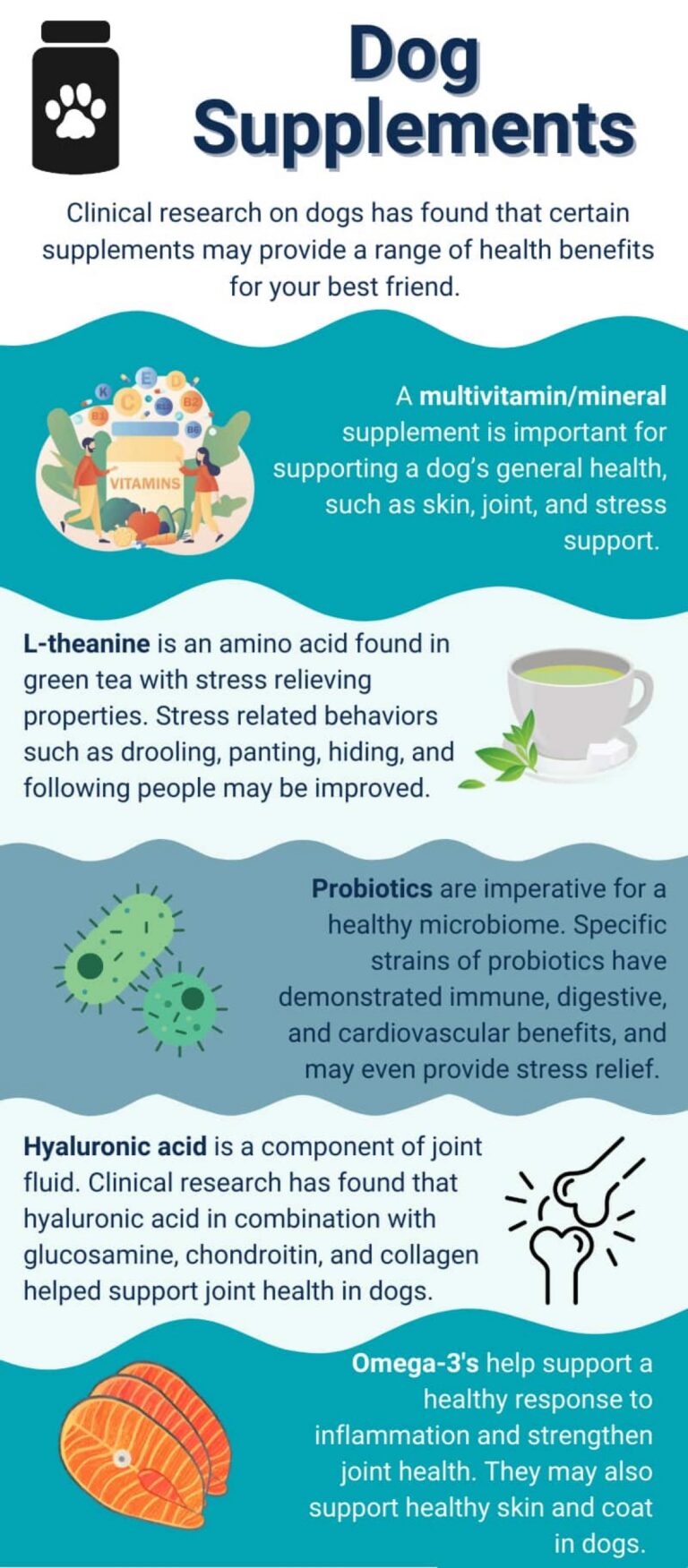 The Best Dog Supplements for Sensitive Stomachs (2026 Tested)