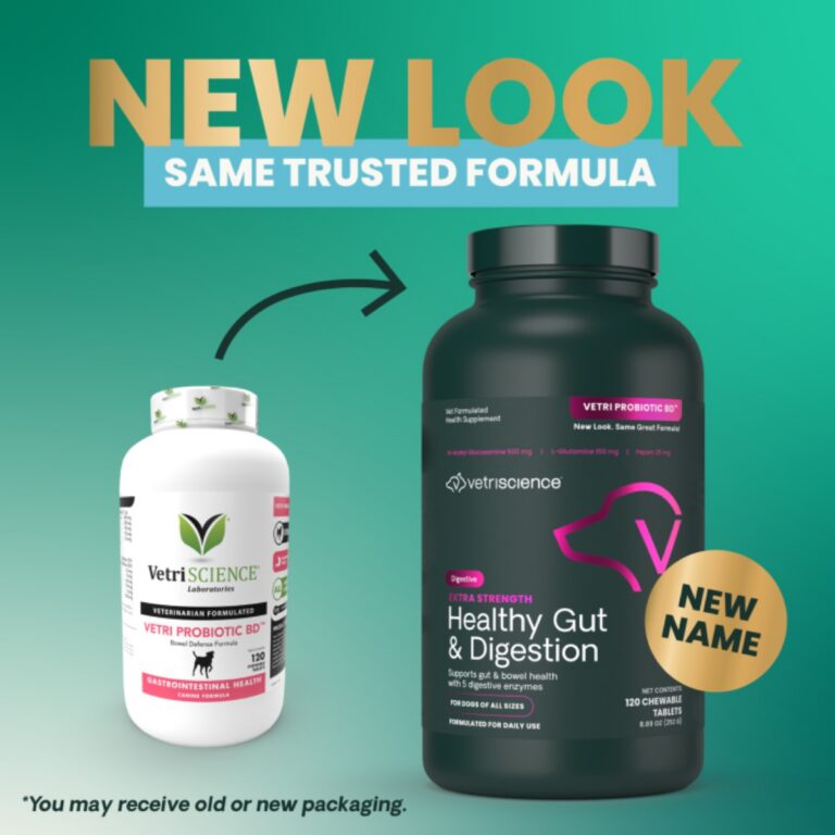 Dog Supplement Ingredient Quality: What “Premium” Actually Means