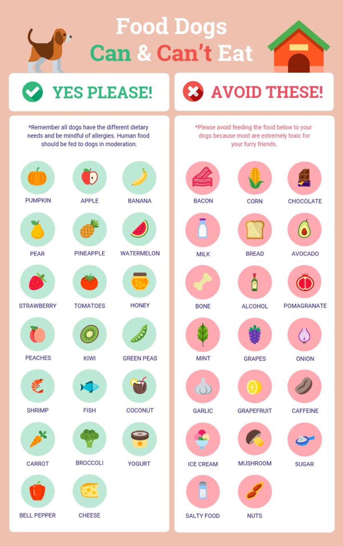 infographics - The Best Dog Supplements for Sensitive Stomachs (2026 Tested)