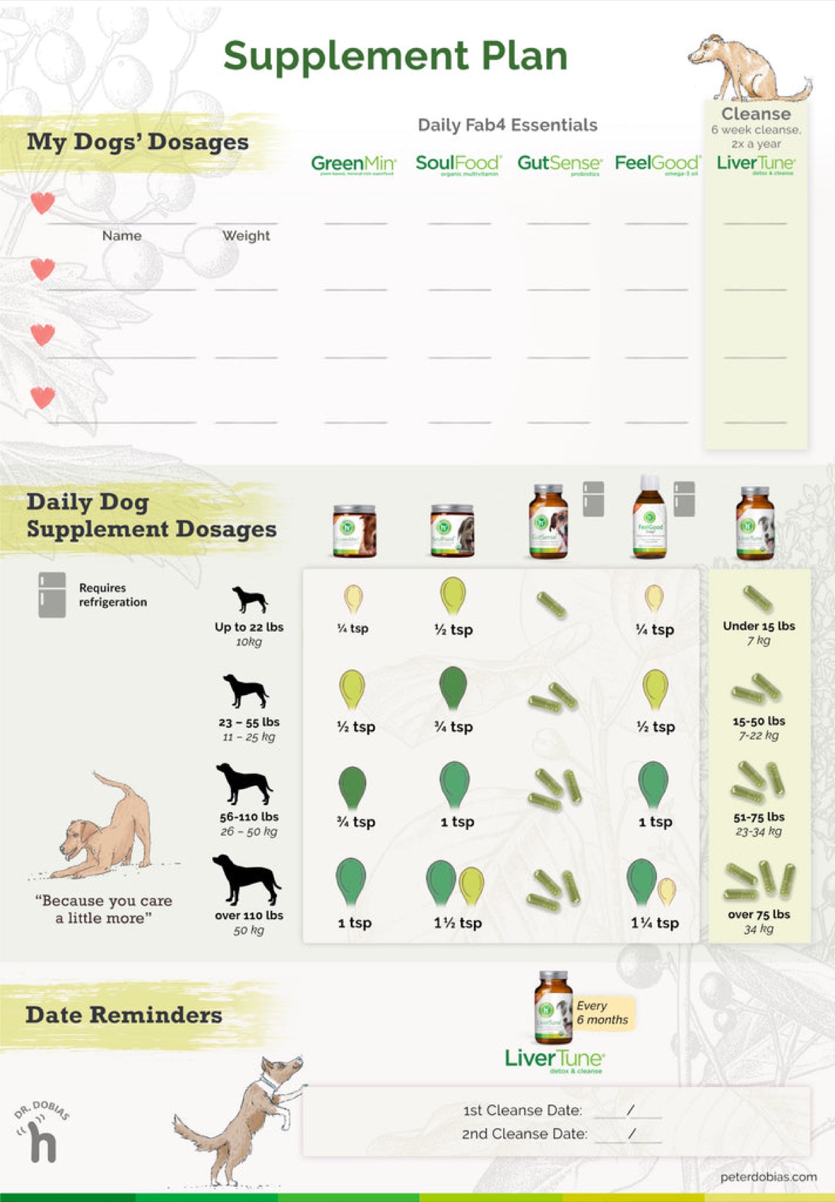 infographics - The Best Dog Supplements for Sensitive Stomachs (2026 Tested)