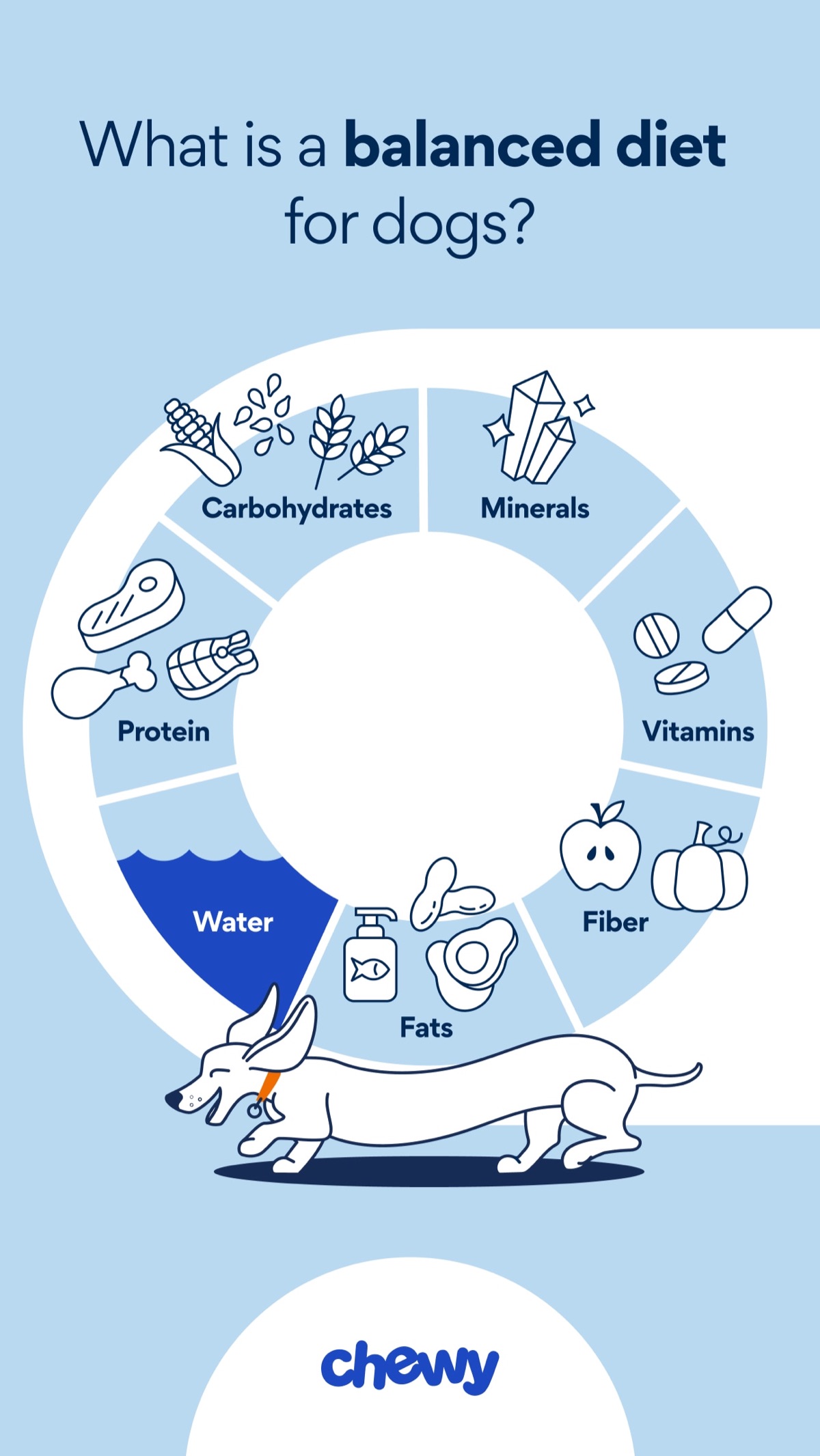 infographics - How We Verify Supplement Ingredient Purity: Our Lab Process