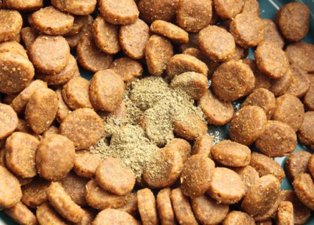 ingredients - Dog Probiotic Price Guide: What's Actually Worth Paying For