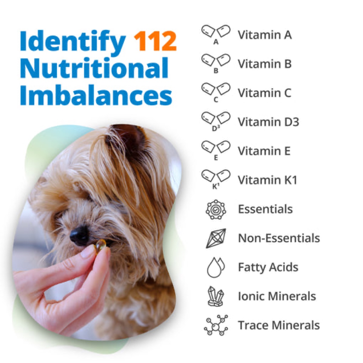 lab-testing - What "Human-Grade" Really Means on Dog Supplements (Spoiler: Not Much)