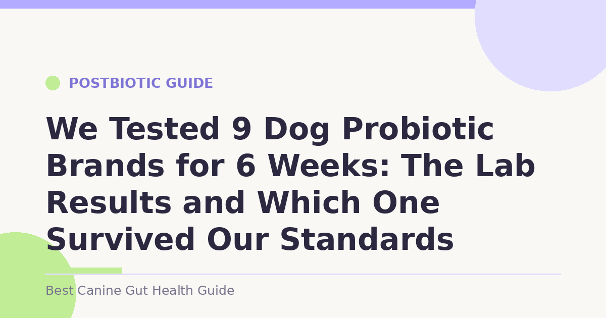 We Tested 9 Dog Probiotic Brands for 6 Weeks: The Lab Results and Which One Survived Our Standards