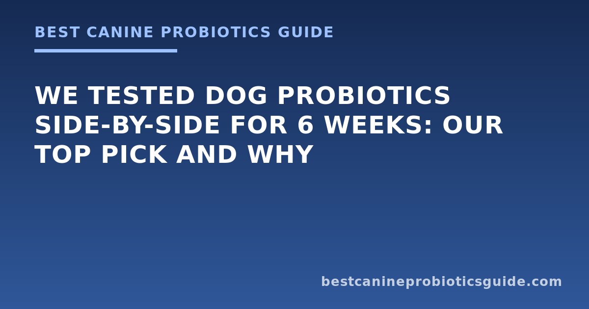 Three dog supplement products lined up on a counter for cost comparison