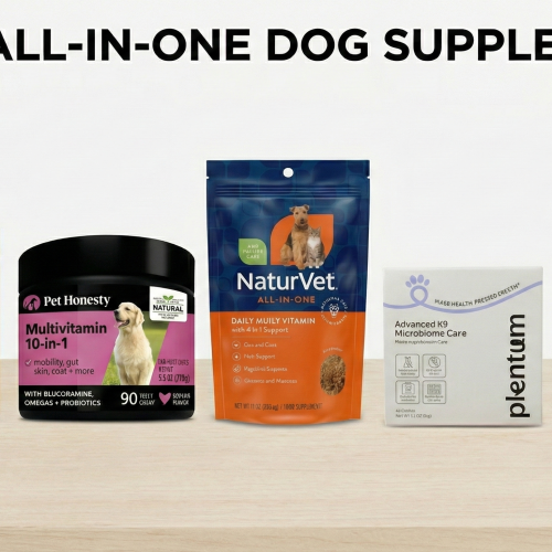 Top 5 All in One Dog Supplements: The Best Dog Supplements for 2026