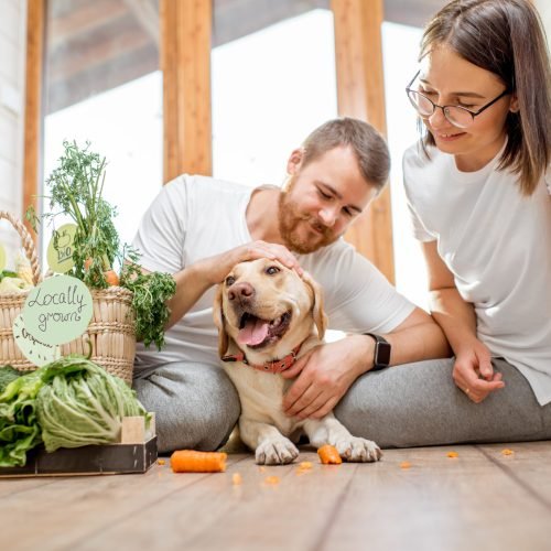 Healthy Homemade Dog Treats: 3 Vet-Backed Recipes for Digestion